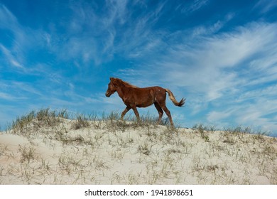 11,278 Outer banks Images, Stock Photos & Vectors | Shutterstock