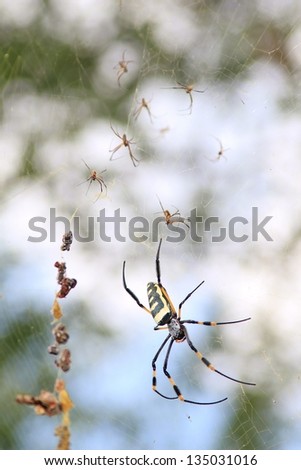 Similar – Image, Stock Photo Love and its wonders