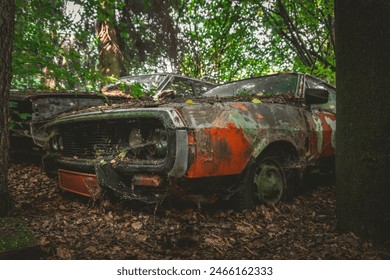 wild junkyard of old vintage cars in the countryside, deep in the forest, destroyed, devastated cars - Powered by Shutterstock