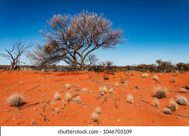Australian Desert Images, Stock & Vectors | Shutterstock