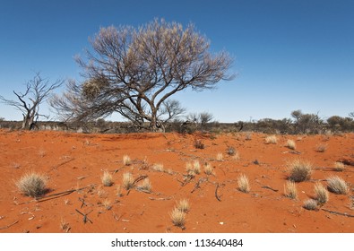 Wild Landscape In The Australian Outback, South Australia