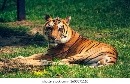 Wild Life Photography In Bannerghatta National Park