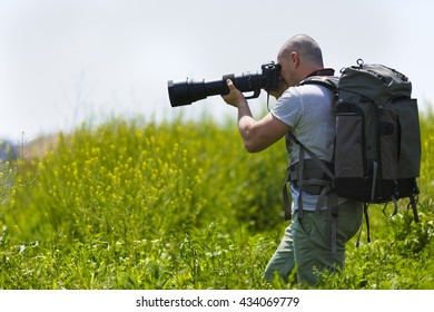 Wild Life Professional Photographer