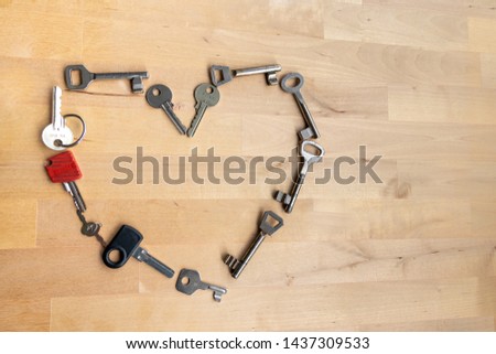 Wild mixture of different keys and key types shows the diversity in locking and security mechanisms in shape of a heart