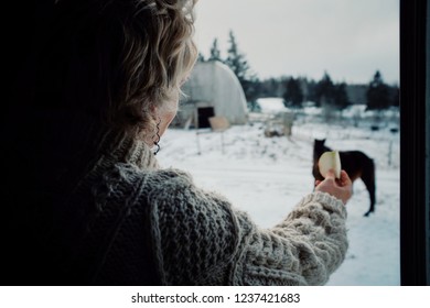 Wild Mountain Farm , Canning , Nova Scotia / Canada - DEC 31 2017 : Woman Playing And Feeding A Horse From Inside Her Home Through A Window During Winter