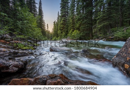 Wild mountain fly fishing river flowing through a dense, green, pine forest at sunset in eastern Oregon. Lostine River. Foto stock © 