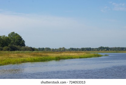 Wild Nature Of Belarus / Landscape Of Prypiat River And Forest