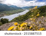 Wild nature of Wachau Valley (Unesco world heritage site) with boat on Danube river near the Spitz village in Lower Austria, Austria