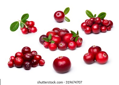 Wild northern berries: lingonberry (foxberry,cowberry),cranberry - Shutterstock ID 319674707