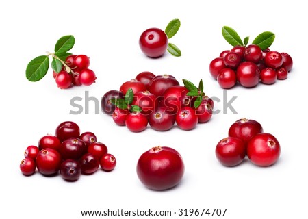 Wild northern berries: lingonberry (foxberry,cowberry),cranberry
