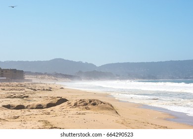 Wild Ocean In The Del Monte Beach, Monterey, USA