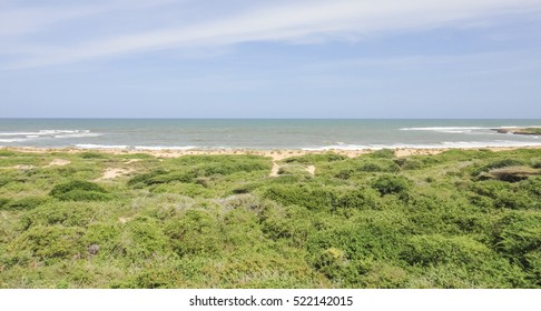 Wild Oceanshore Of Eastern Africa