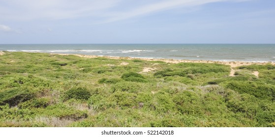 Wild Oceanshore Of Eastern Africa