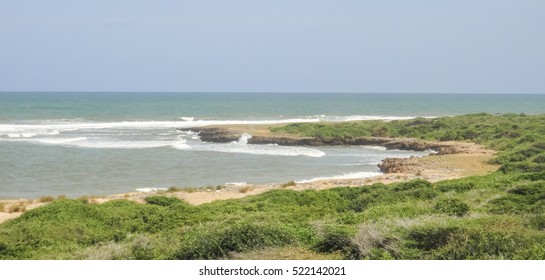 Wild Oceanshore Of Eastern Africa