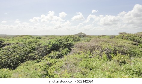 Wild Oceanshore Of Eastern Africa