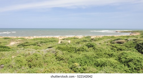 Wild Oceanshore Of Eastern Africa