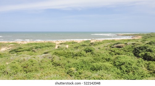 Wild Oceanshore Of Eastern Africa