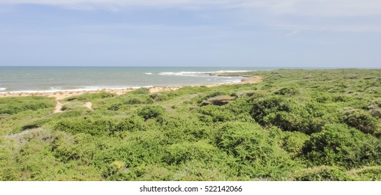 Wild Oceanshore Of Eastern Africa