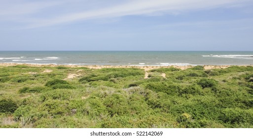 Wild Oceanshore Of Eastern Africa