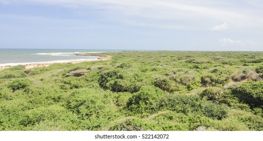 Wild Oceanshore Of Eastern Africa