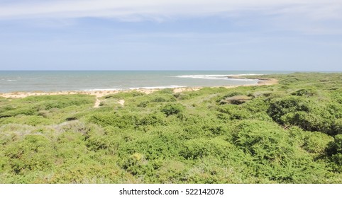 Wild Oceanshore Of Eastern Africa