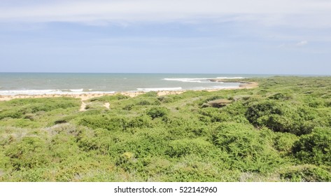 Wild Oceanshore Of Eastern Africa