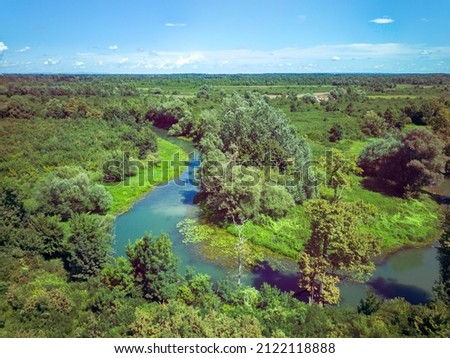 Wild Odra river creating beautiful meandres in the ancient hunting grounds of Turopoljski Lug, Croatia, aerial perspective