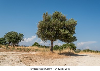 Landescape Alentejo Stock Photo (edit Now) 503904853