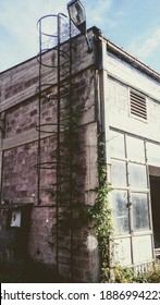 Wild Poison Ivy Vine Climbing Over A Rusty Fire Stairs