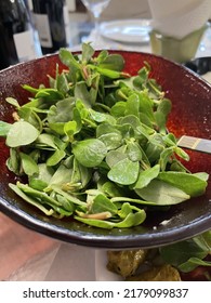 Wild Purslane Salad In A Red Bowl For Dinner