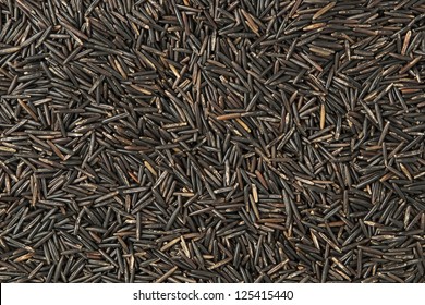 Wild Rice Background. Full Frame Shot Of Minnesota Grown Wild Rice Or 