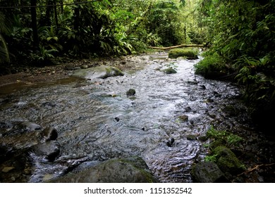 Wild River In The Braulio Carrillo National Park