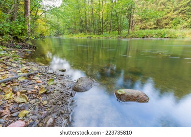wild river in forest