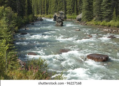 Wild River In Forest