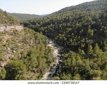 wild river in the middle of the forest, natural pools for bathers to bathe and relax in Catalan nature
