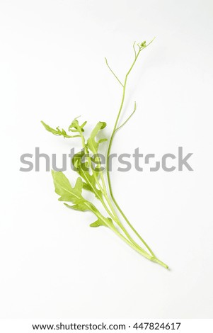 garden cress Cress