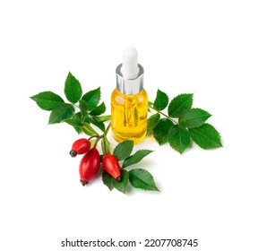 Wild Rose Essential Oil Isolated. Rose Hip Extract, Rosehip Extraction, Dog Rose Infusion, Dogrose Oil On White Background