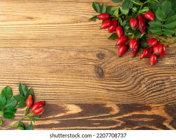 Wild Rose Twig Texture Background. Rose Hip Branch With Red Berries, Rosehip Fruits And Leaves Mockup, Dog Rose Sprig, Dogrose Twig With Copy Space