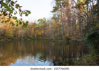 Wild Secluded Inlet Of Lake Along Trail Seneca State Park Maryland United States In Fall