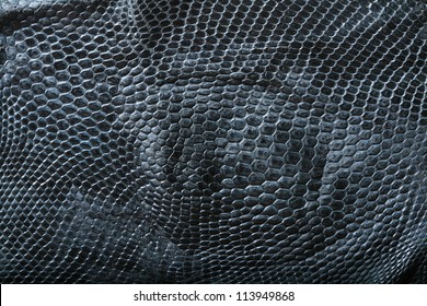 Wild Snake Skin Pattern In Many Style.