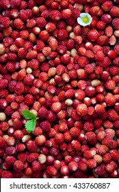 Wild Strawberries Background