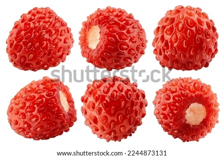 wild Strawberry isolated on white background, clipping path, full depth of field