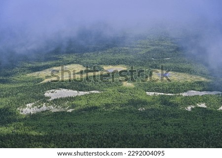 Wild swamp near Big Iremel mountain, Bashkortostan