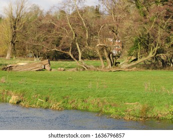 Wild Swimming In The River Waveney