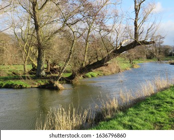 Wild Swimming In The River Waveney