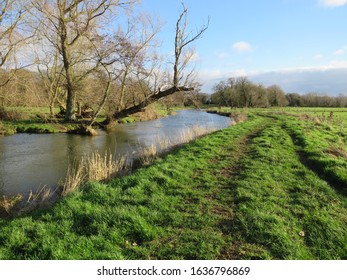 Wild Swimming In The River Waveney