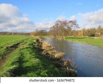 Wild Swimming In The River Waveney