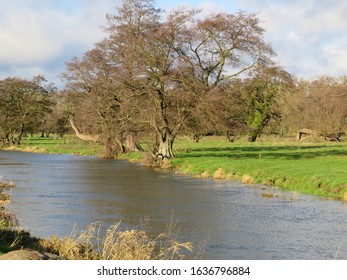 Wild Swimming In The River Waveney