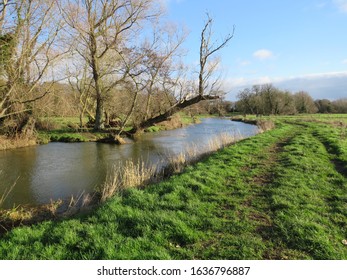 Wild Swimming In The River Waveney