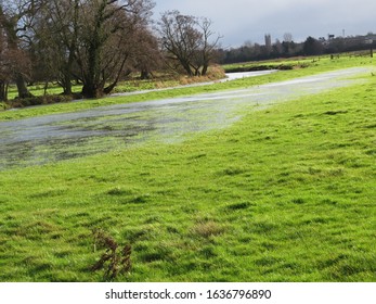 Wild Swimming In The River Waveney